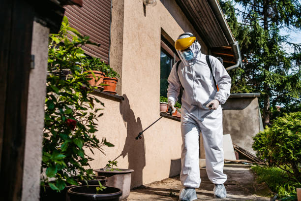 Bird Control in Merton, WI