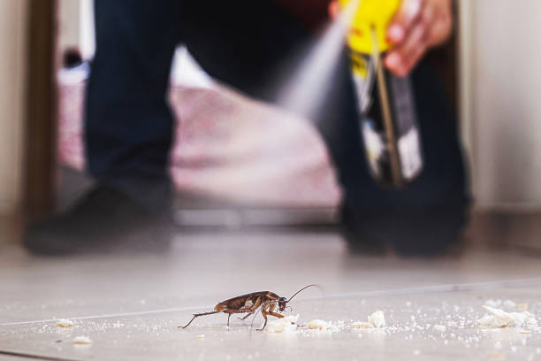Best Flea Control Services  in Merton, WI