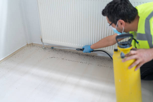 Best Pest Inspection Near Me  in Merton, WI