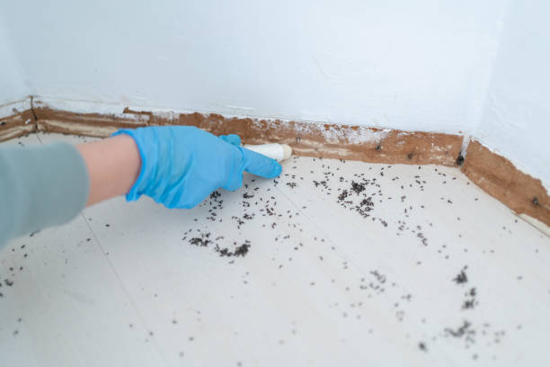 Best Pest Prevention Services  in Merton, WI