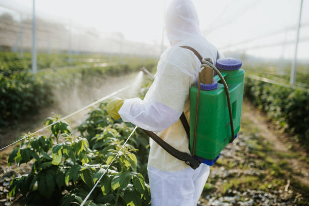 Best Wasp Removal Services  in Merton, WI